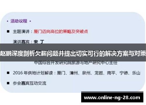 赵鹏深度剖析欠薪问题并提出切实可行的解决方案与对策