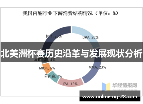 北美洲杯赛历史沿革与发展现状分析 北美洲杯赛历史沿革与发展现状分析