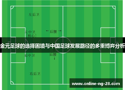 金元足球的选择困境与中国足球发展路径的多重博弈分析 金元足球的选择困境与中国足球发展路径的多重博弈分析