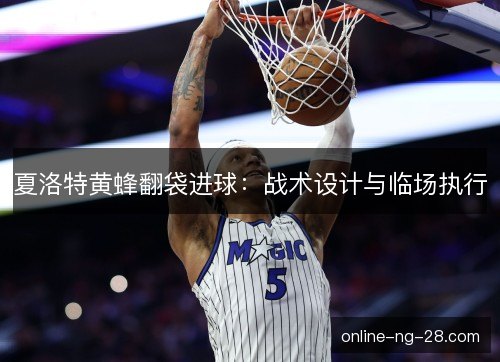 夏洛特黄蜂翻袋进球:战术设计与临场执行 夏洛特黄蜂翻袋进球:战术设计与临场执行